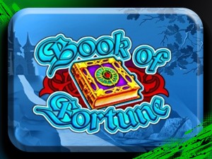 Slot Card Image for Book of Fortune