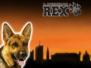 Slot Card Image for Rex