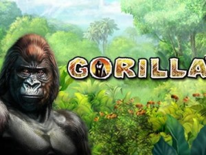 Slot Card Image for Gorilla