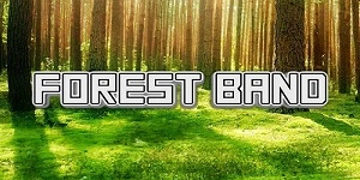 Slot Brand Image for Forest Band