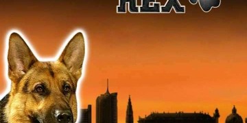 Slot Brand Image for Rex