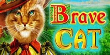 Slot Brand Image for Brave Cat