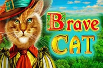 Slot Brand Image for Brave Cat